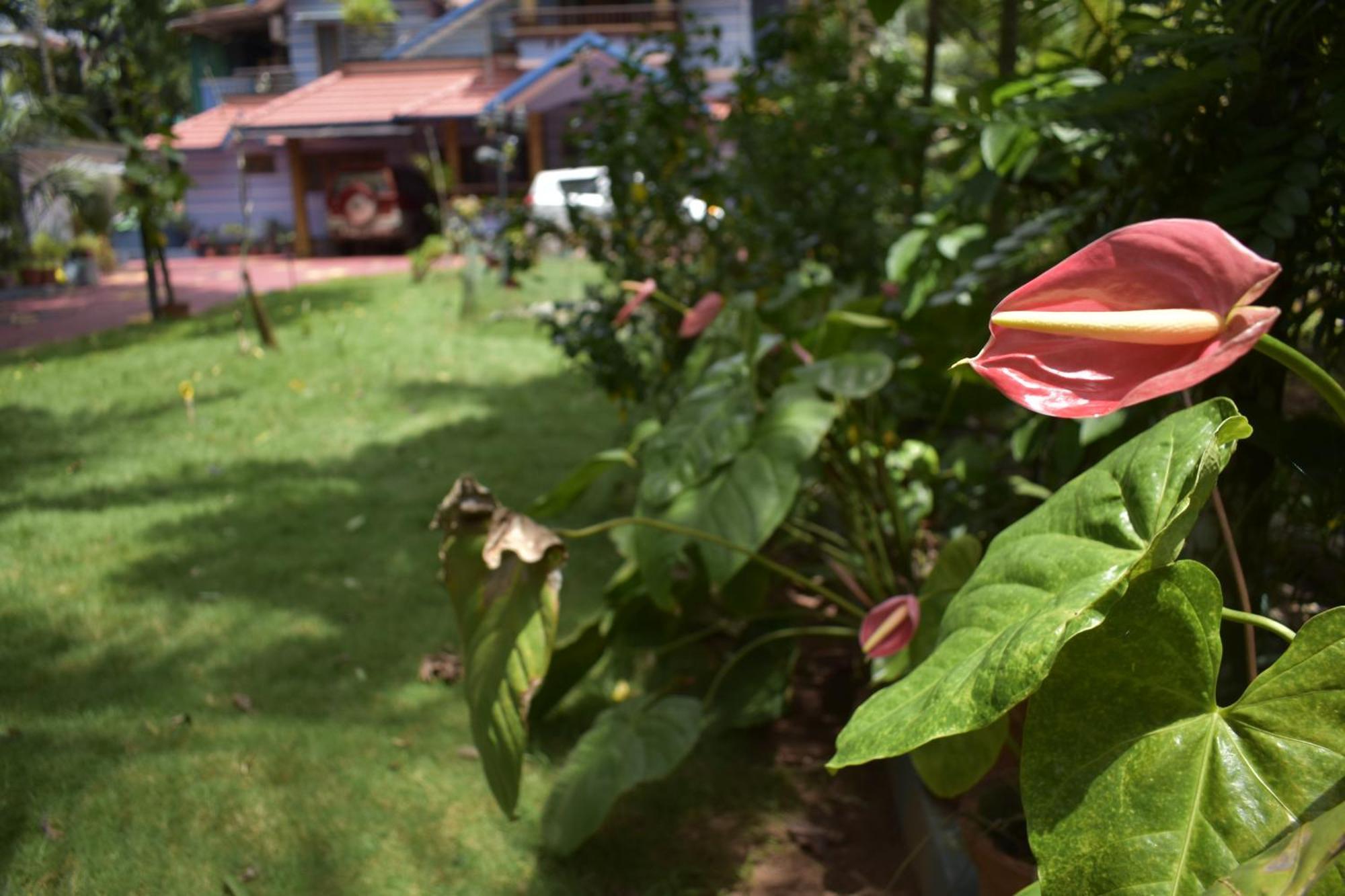 Ben's Villa Kannur ! Exteriör bild